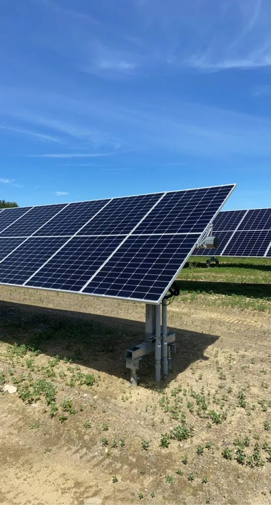 Slide of Taz Electric