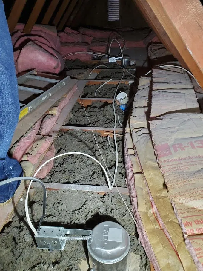 Slide of Team Electric Co