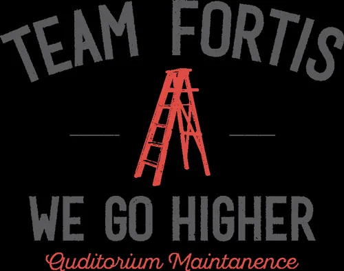 Slide of Team Fortis