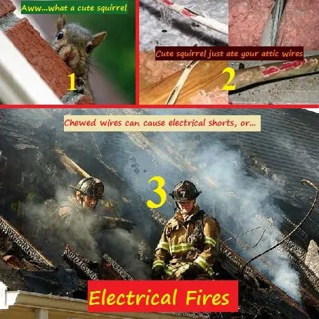 Slide of Technical Electric Systems