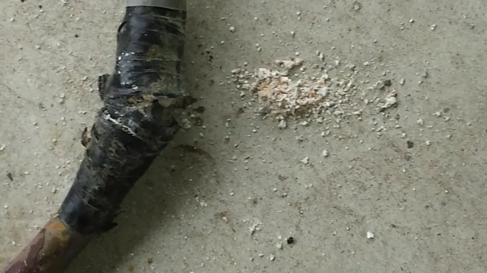 Slide of Ted Electric