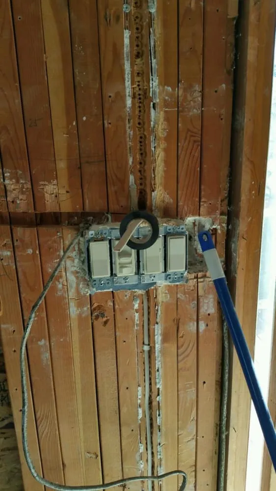 Slide of Ted Electric