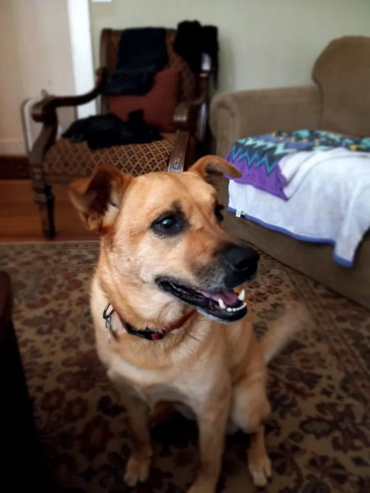 Slide of Tedford HOME Works