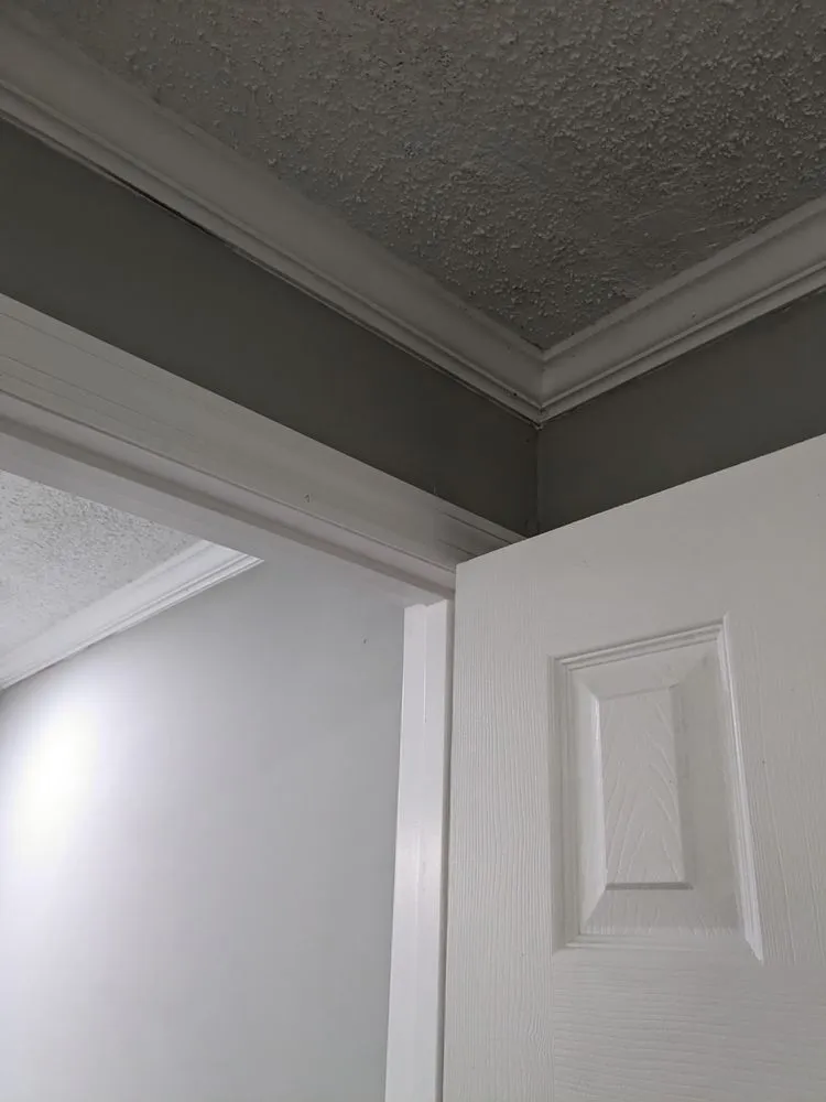 Expert outlet and switch repair service in Batesburg-Leesville, SC - Temples Remodeling