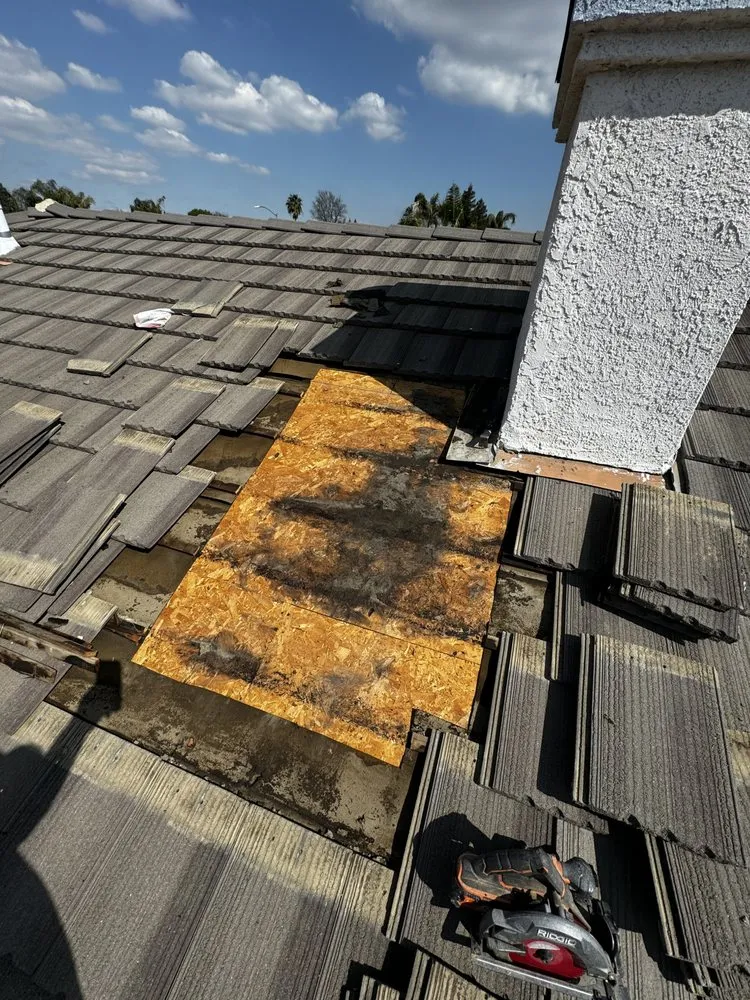 Slide of Ternus Tool Time