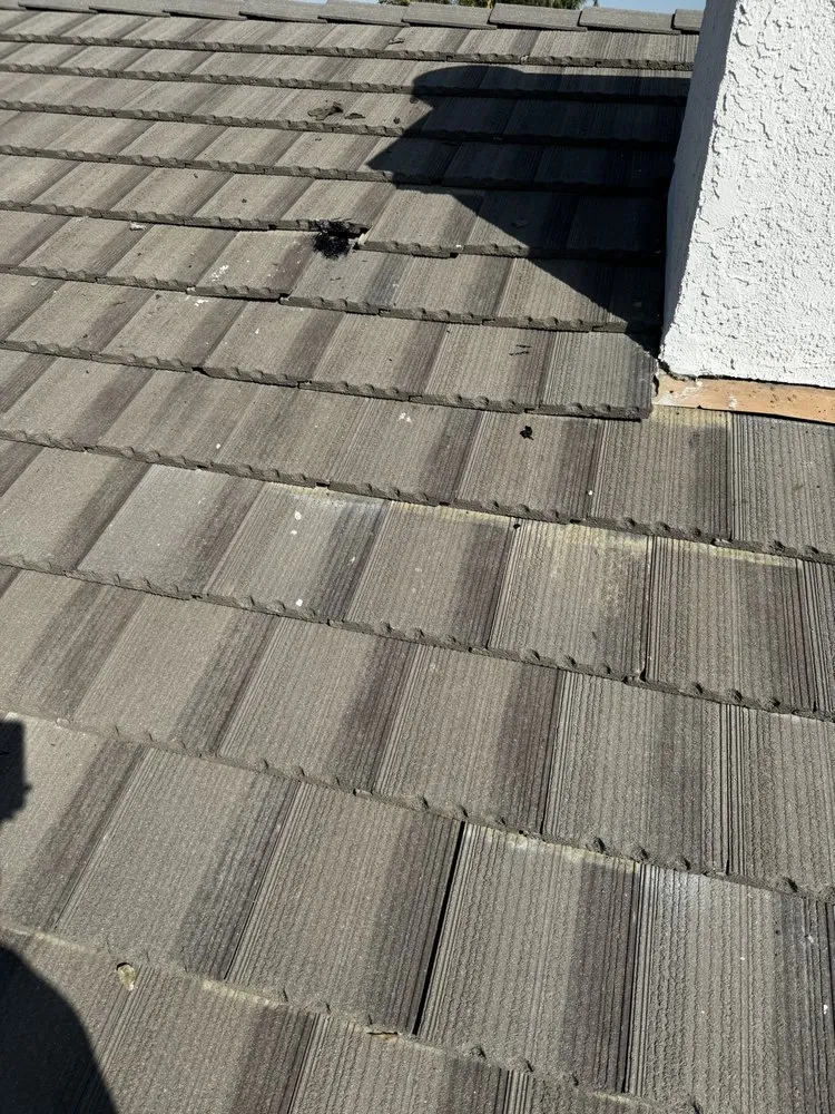 Slide of Ternus Tool Time