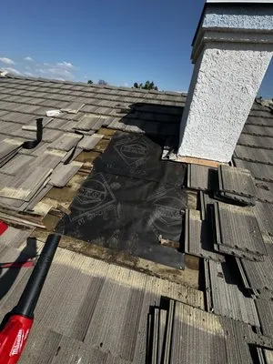 Ternus Tool Time Logo