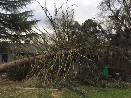 Tesla Electric Company, Inc.