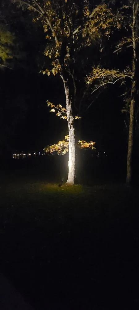 Trusted electrician providing emergency electrical service in , 