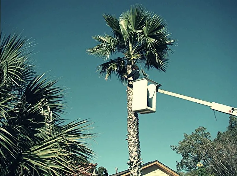 Slide of Texas Electrical Services