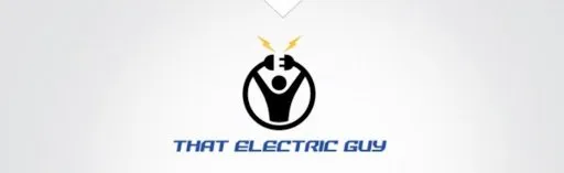 That Electric Guy Logo