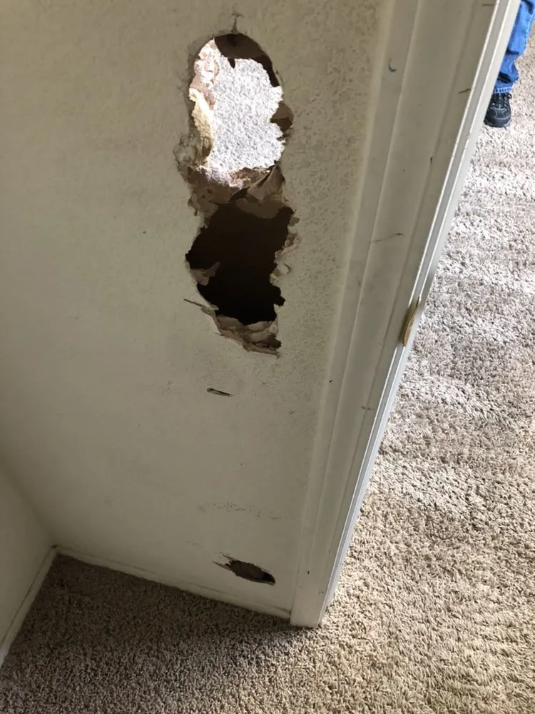 Certified electrician providing emergency electrical service in , 