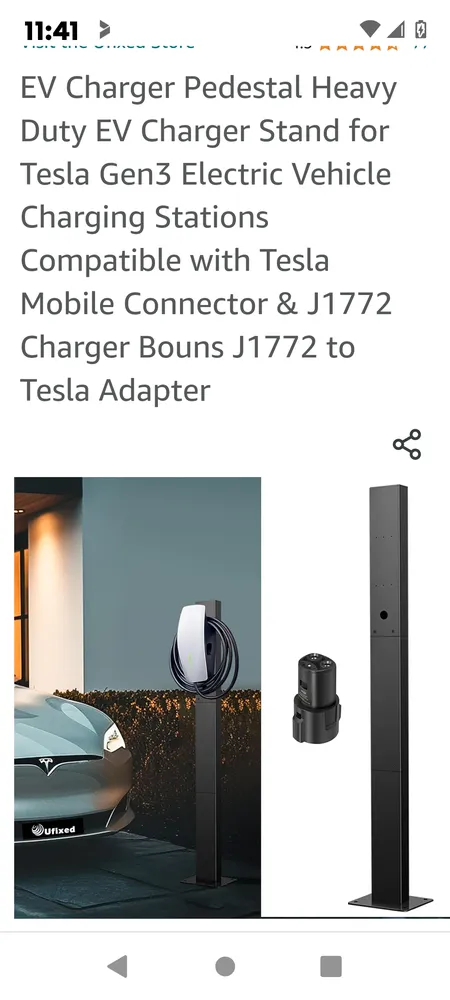 Slide of The American Rising Phoenix Services