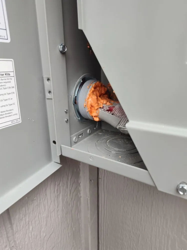 Professional emergency electrical service experts serving ,  - The American Rising Phoenix Services