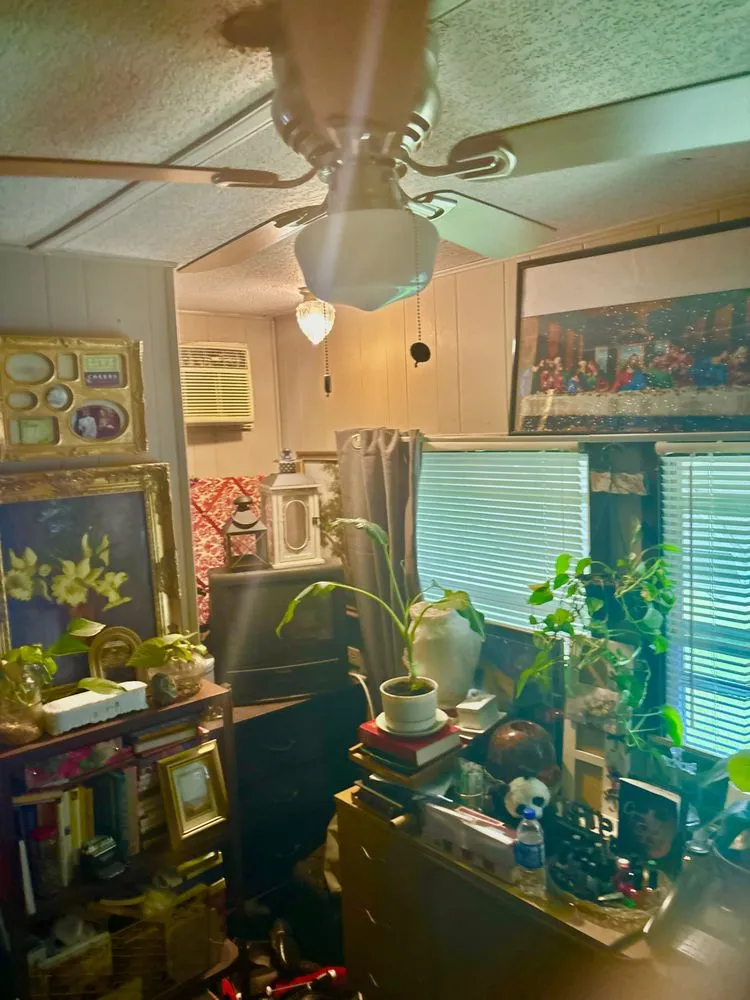 Slide of The Arc Sparky