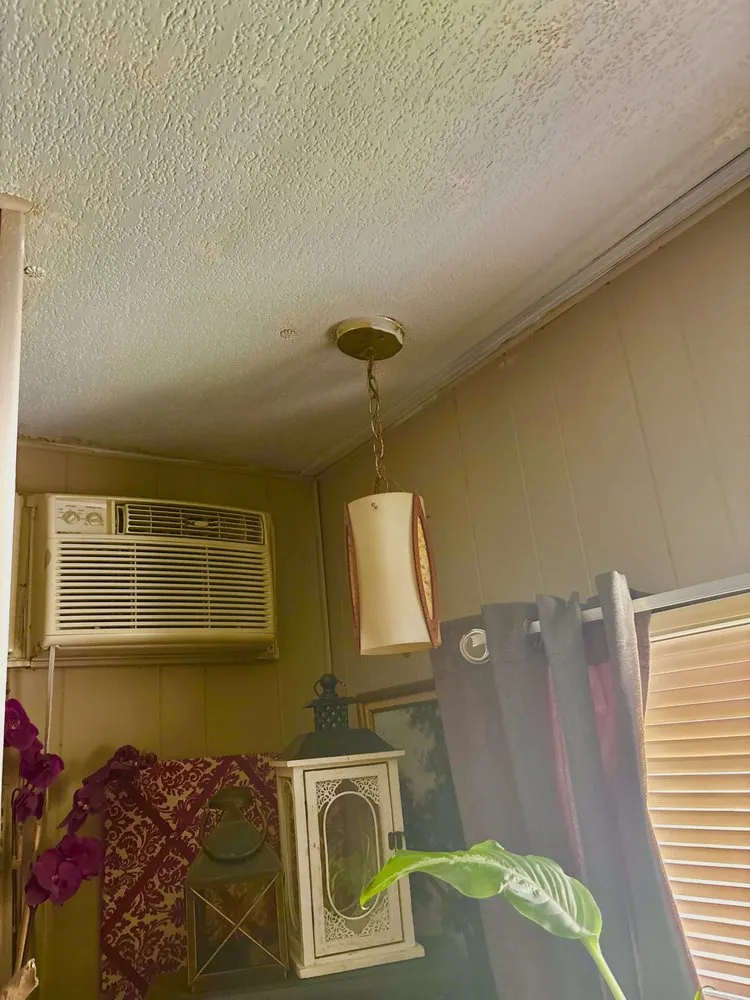 Slide of The Arc Sparky