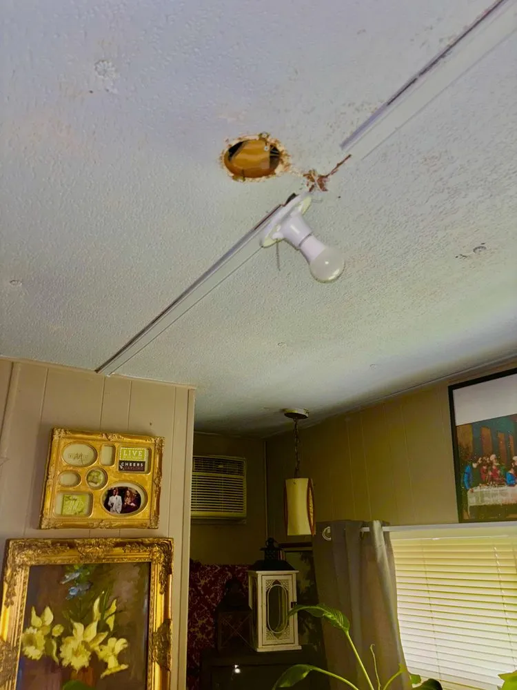 Slide of The Arc Sparky