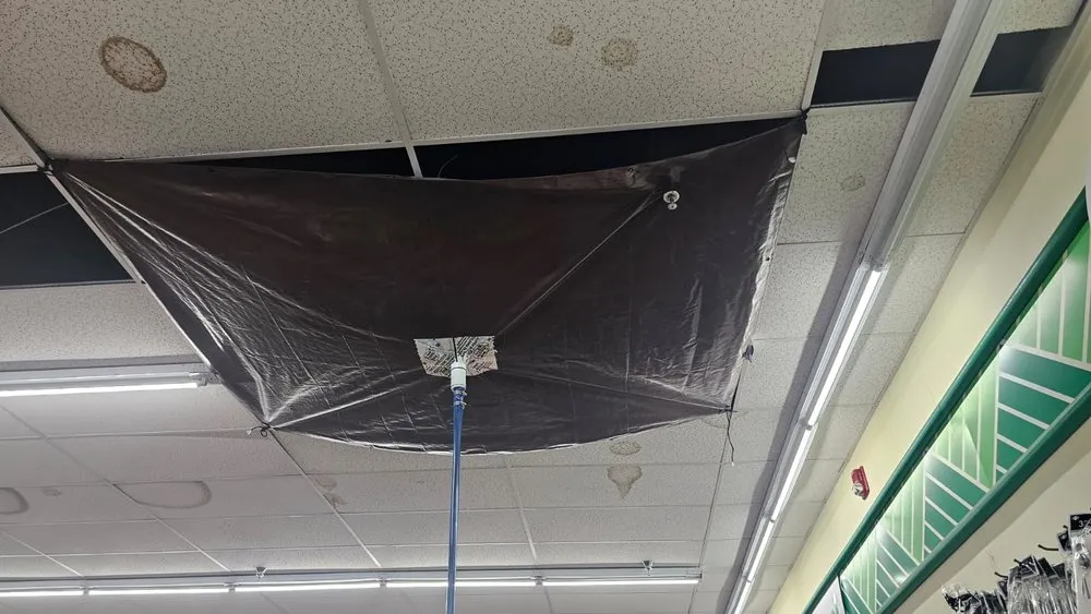 Slide of The Best of the Handyman