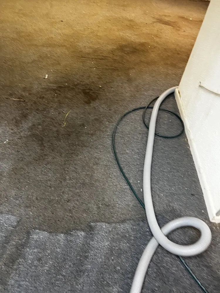 Slide of The Carpet Cleaning