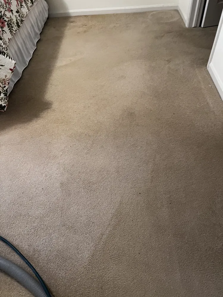 Slide of The Carpet Cleaning