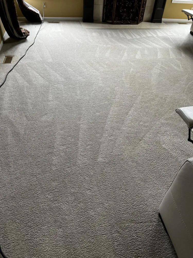 Slide of The Carpet Cleaning