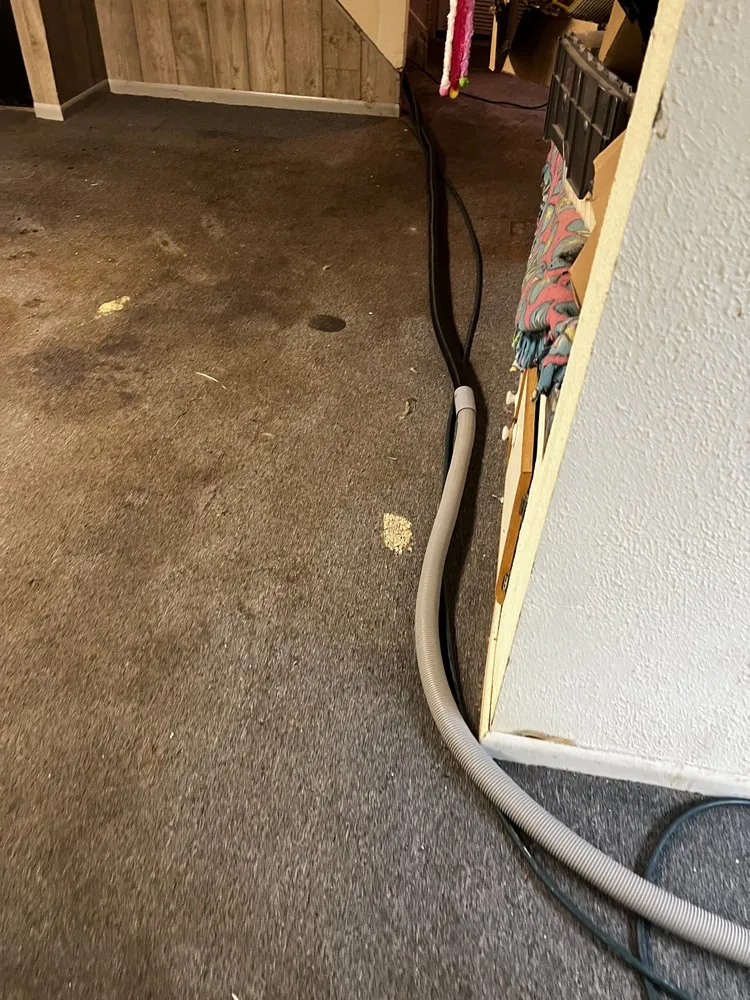 Slide of The Carpet Cleaning