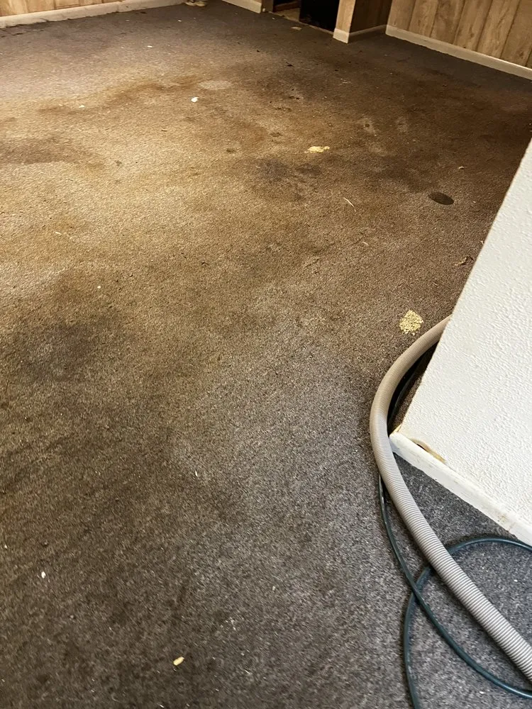 Slide of The Carpet Cleaning