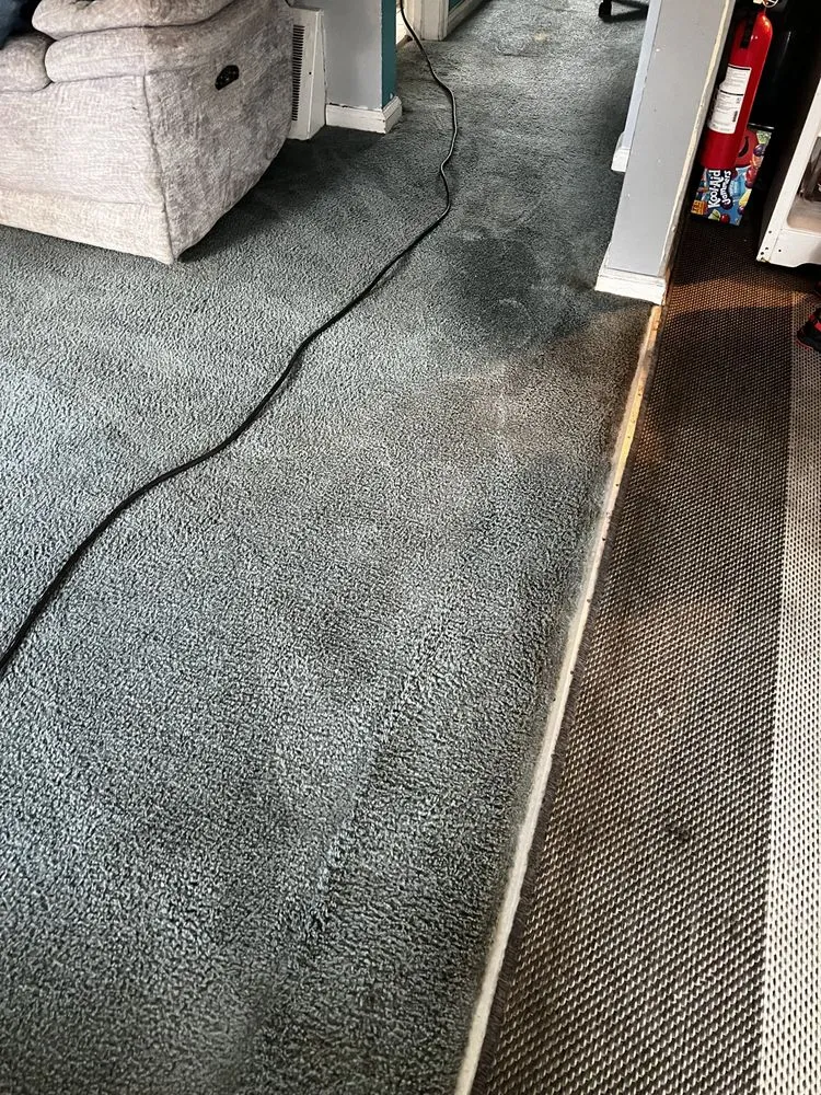 Slide of The Carpet Cleaning