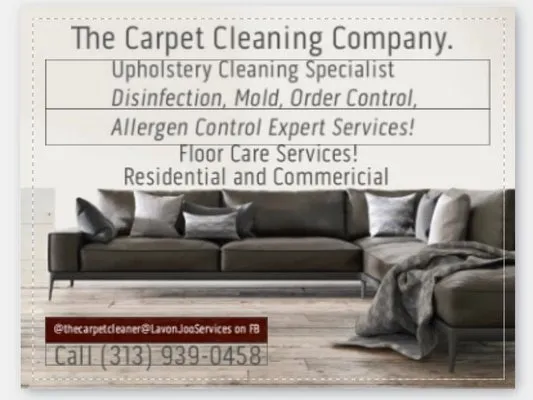 The Carpet Cleaning Logo