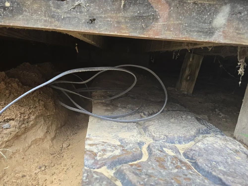 Slide of The Ceiling Fan Man