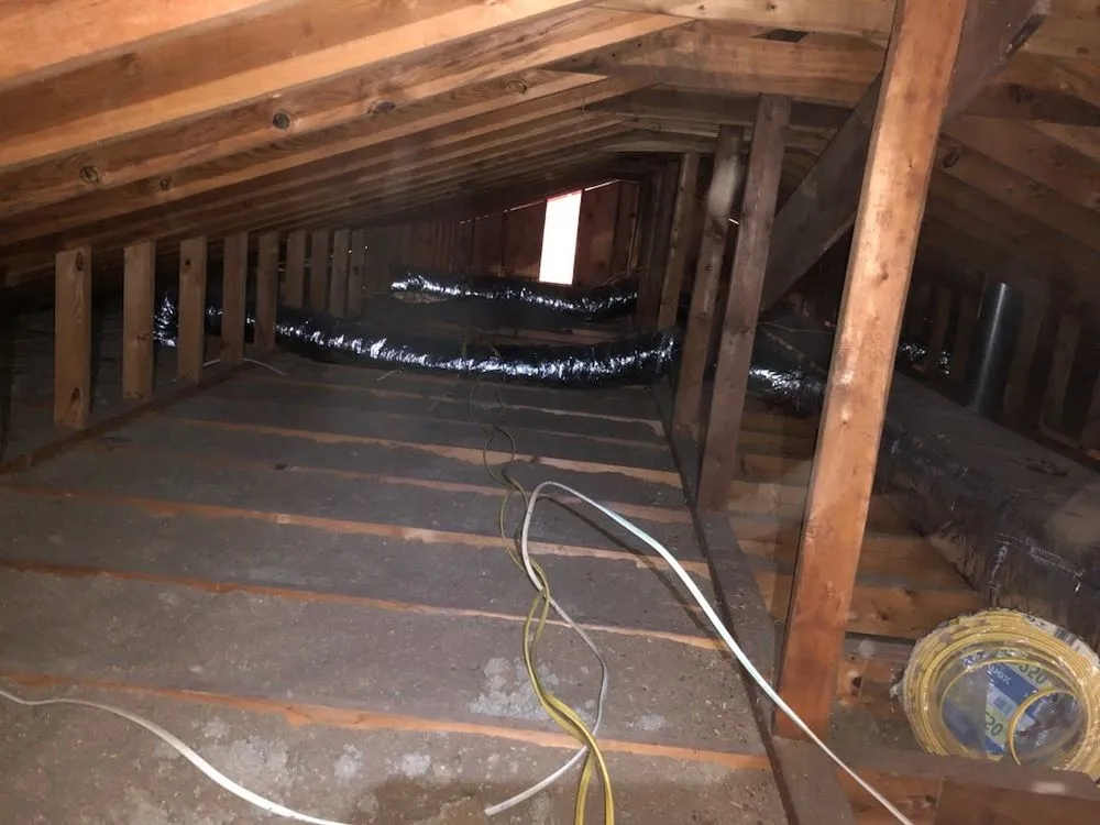 Slide of The Ceiling Fan Man