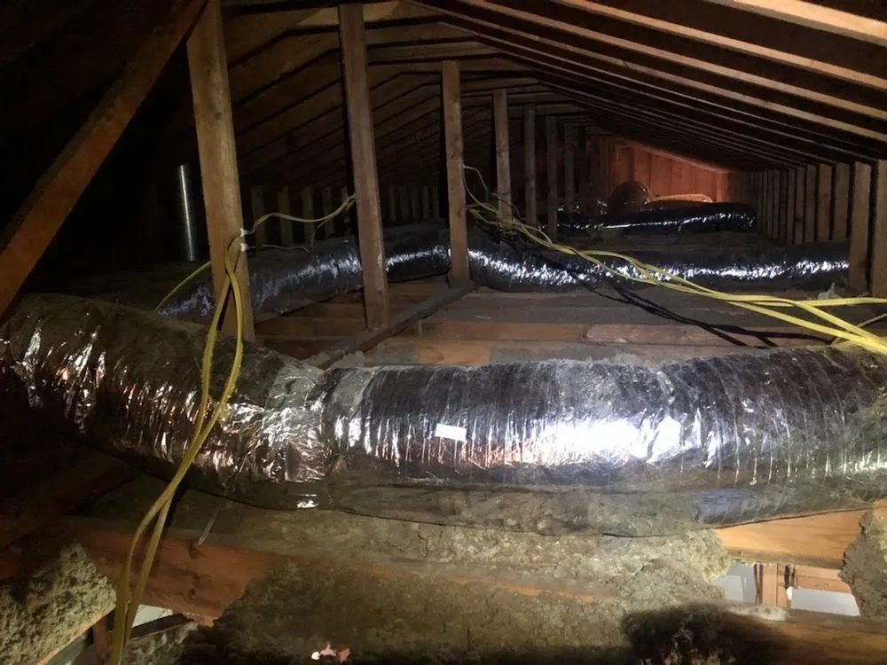 Slide of The Ceiling Fan Man