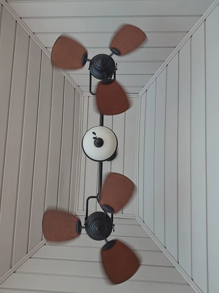 Slide of The Ceiling Fan Man