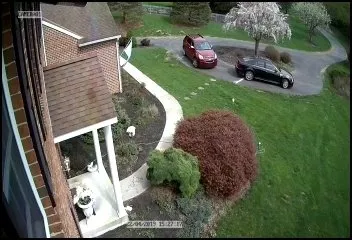 Slide of The Cuda Brothers