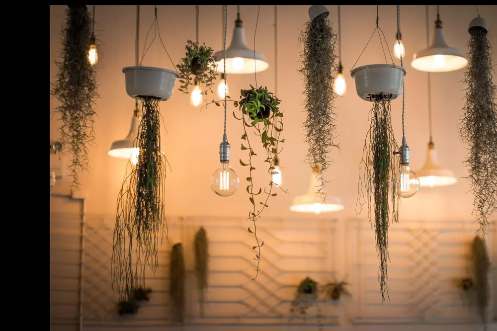 Professional lighting installation in Bogue Chitto, MS by The Electric Company