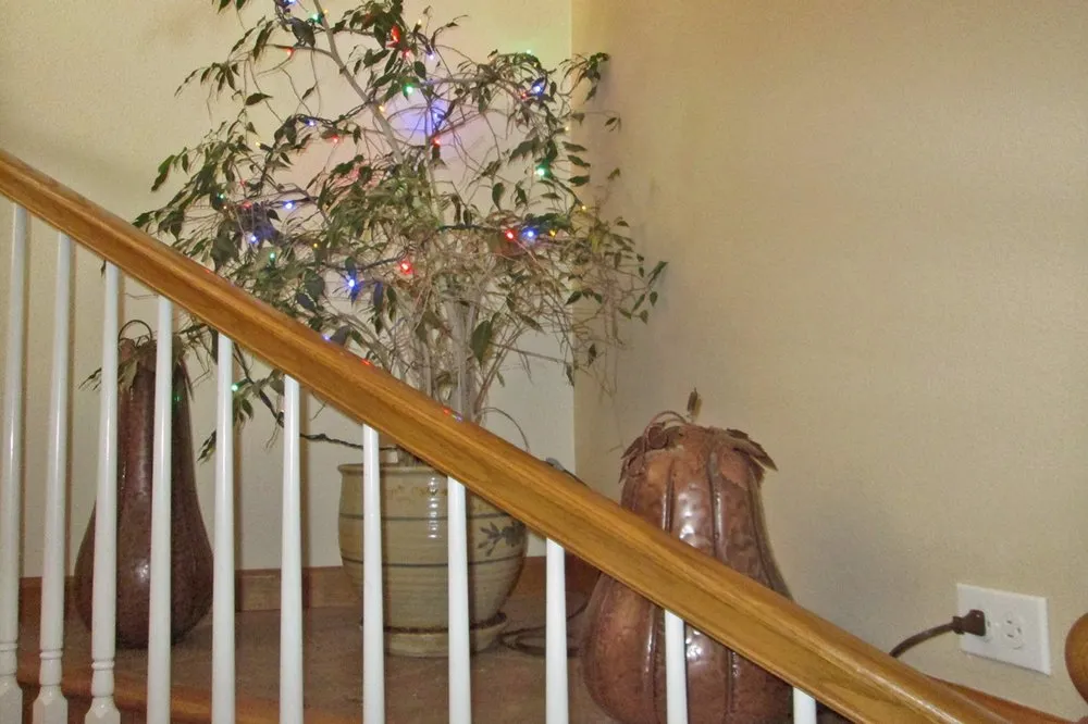 Slide of The Electric Company