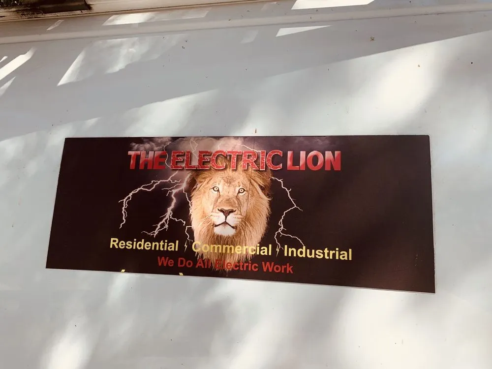 Slide of The Electric Lion