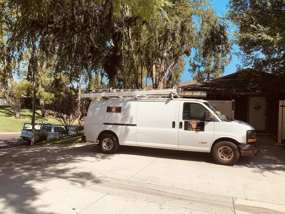 Slide of The Electric Lion