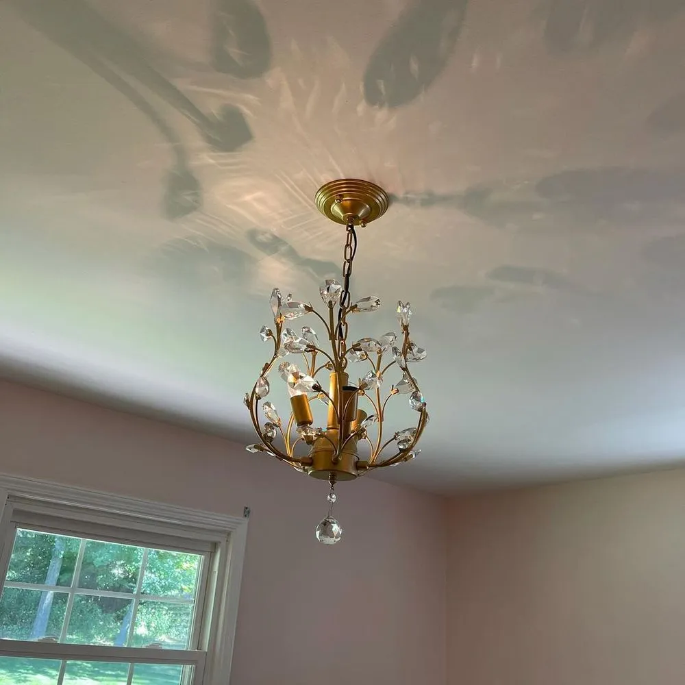 Slide of The Electrical Travelers