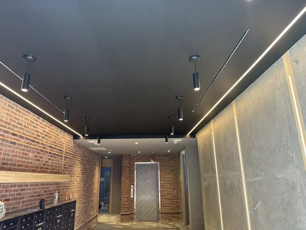 Slide of The Electrician 51