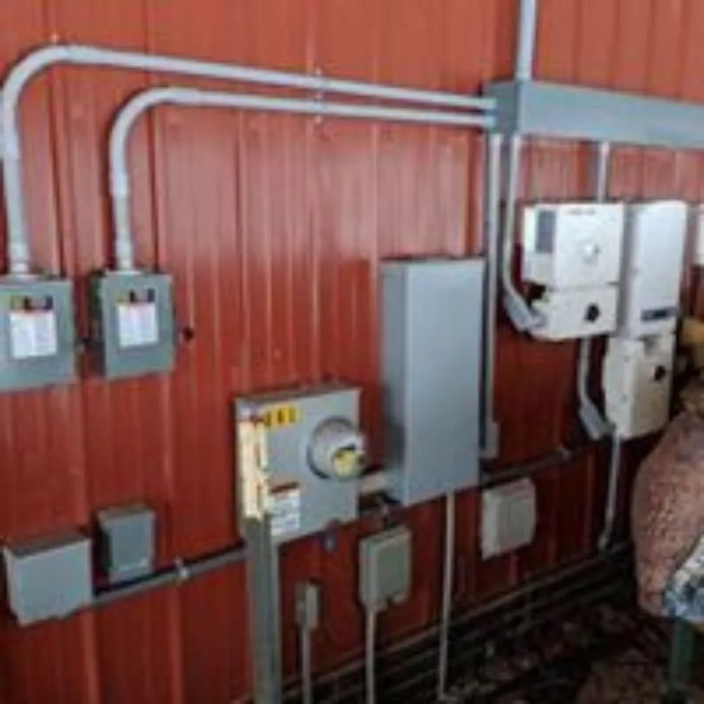 Slide of The Electrician