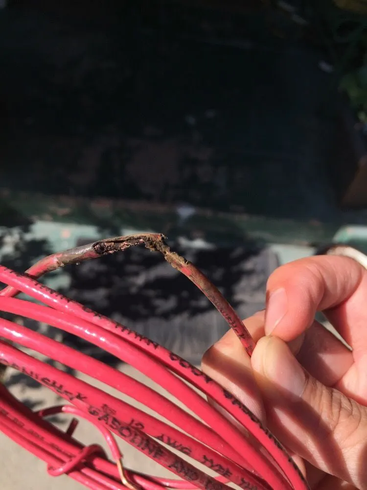 Slide of The Electrician Magician