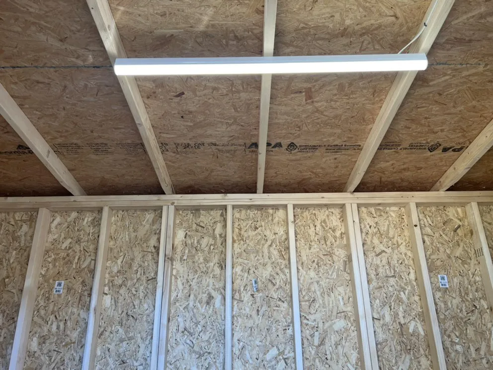 Slide of The Electrician