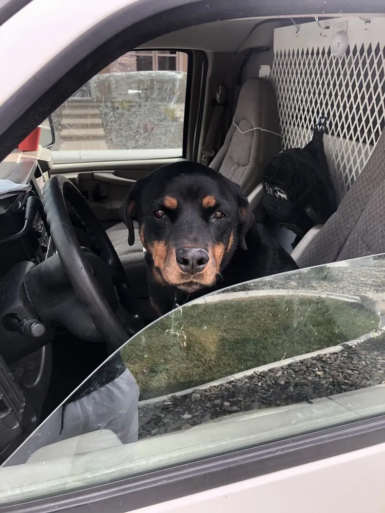 Slide of The Electrician