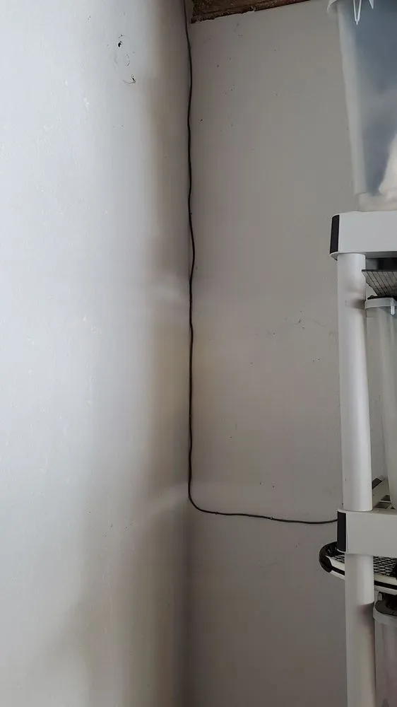 Slide of The Electrician