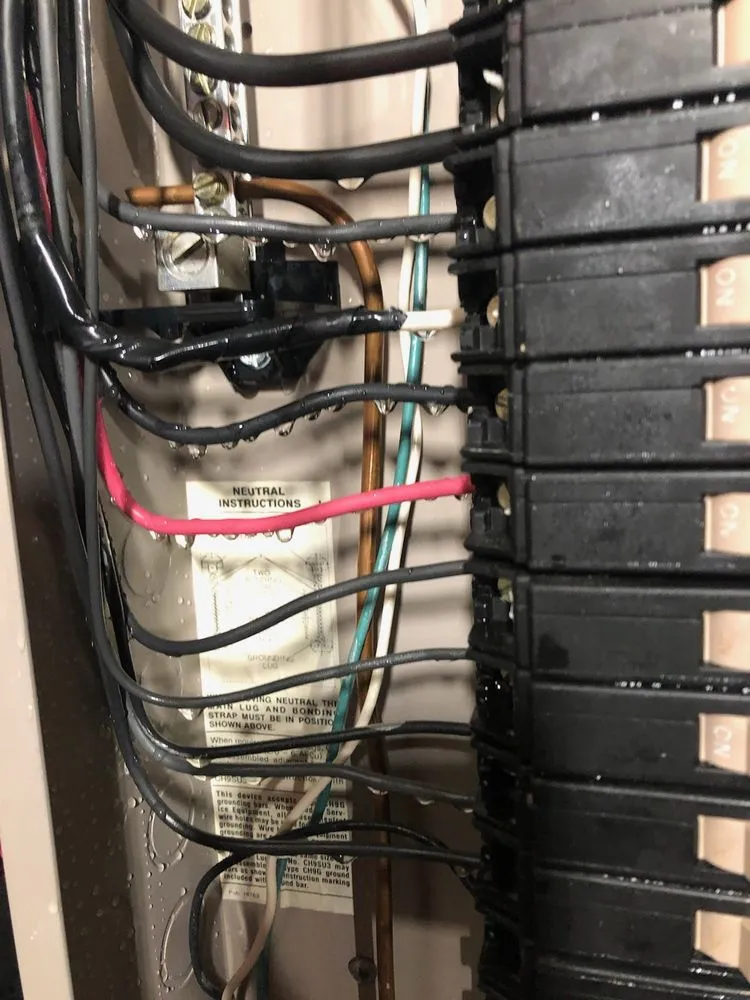 Slide of The Electricians