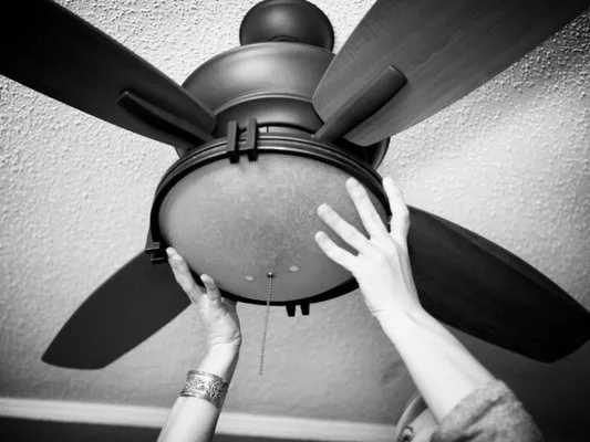 The Fan Man