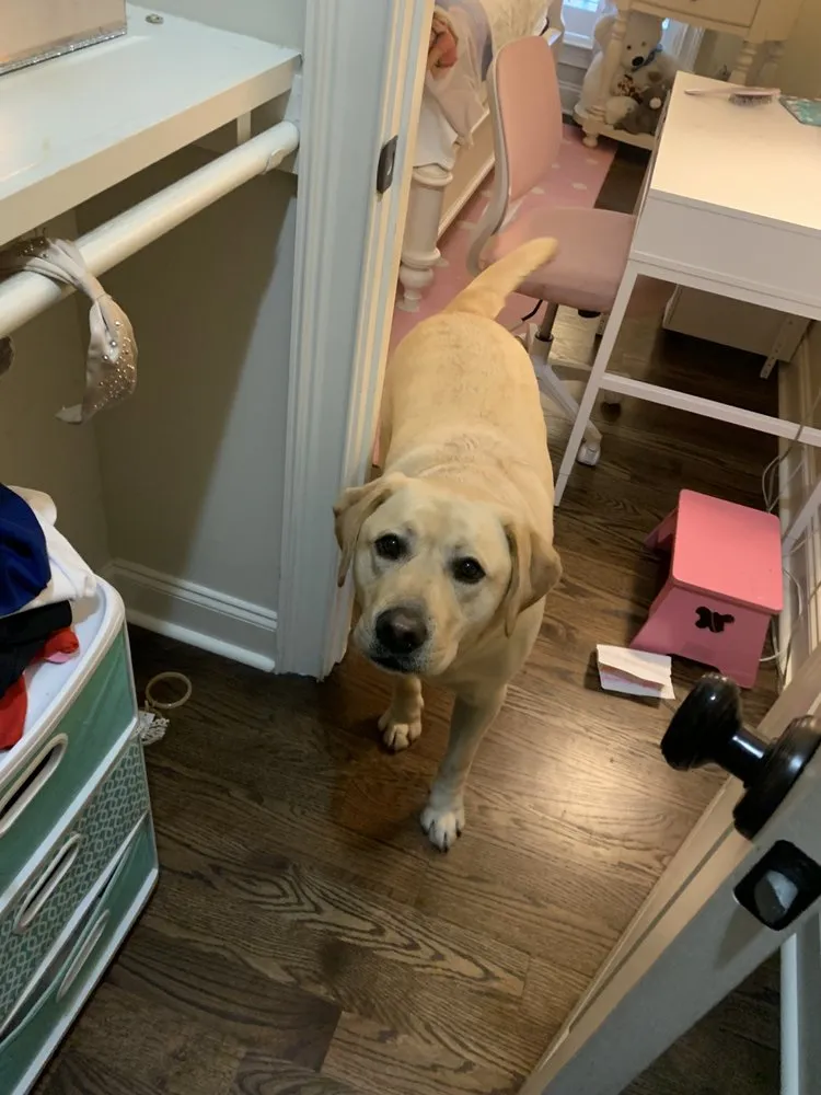 Slide of The Florence Handyman