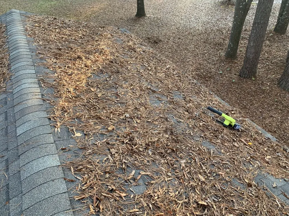 Slide of The Florence Handyman