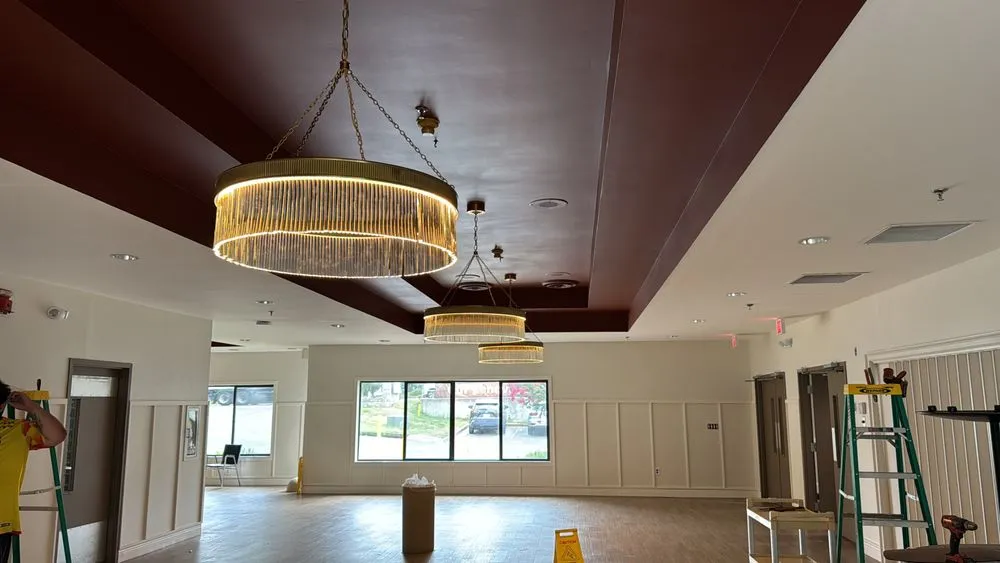 Slide of The Good Electrician